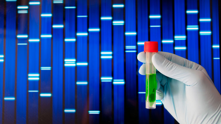 Ученые "расшифровали" раковые клетки и обещают революцию в лечении