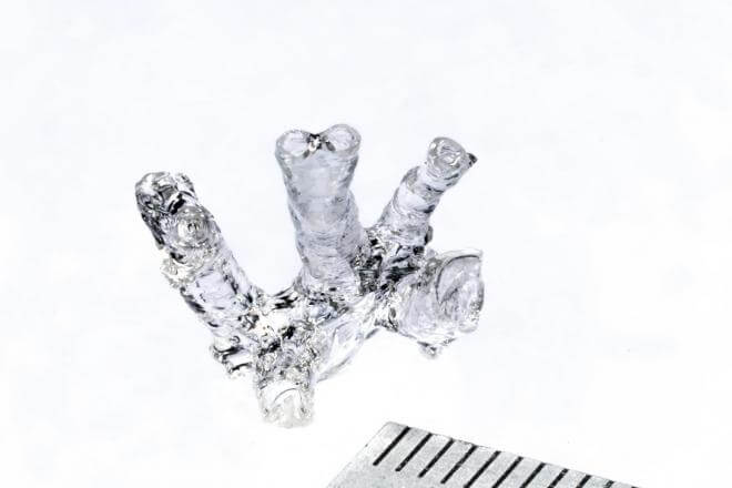 Модель легочной артерии мыши, полученная с использованием нового метода объемной биопечати