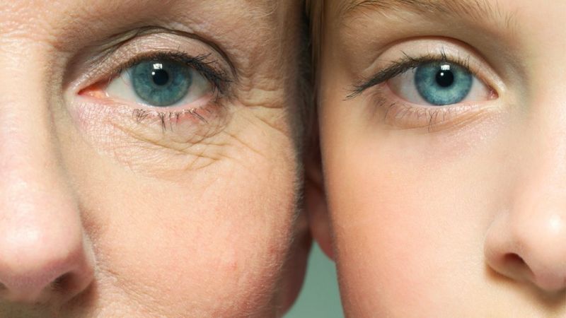 омоложение организма на уровне ДНК