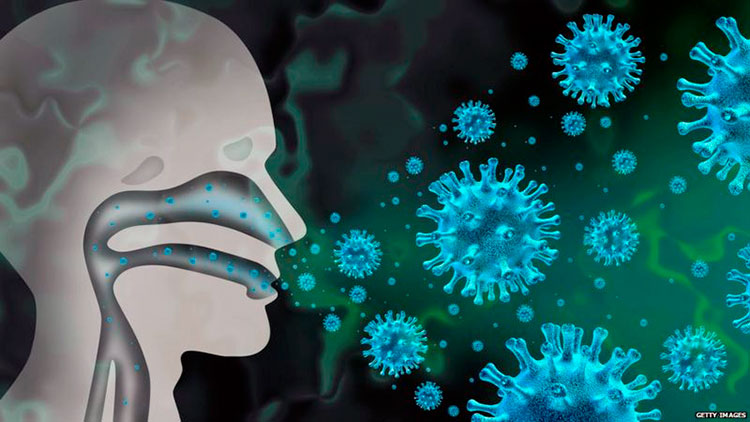 грипп не дает ковид-19 попасть в организм