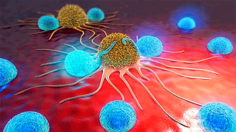 Рак может быть излечим, утверждают ученые