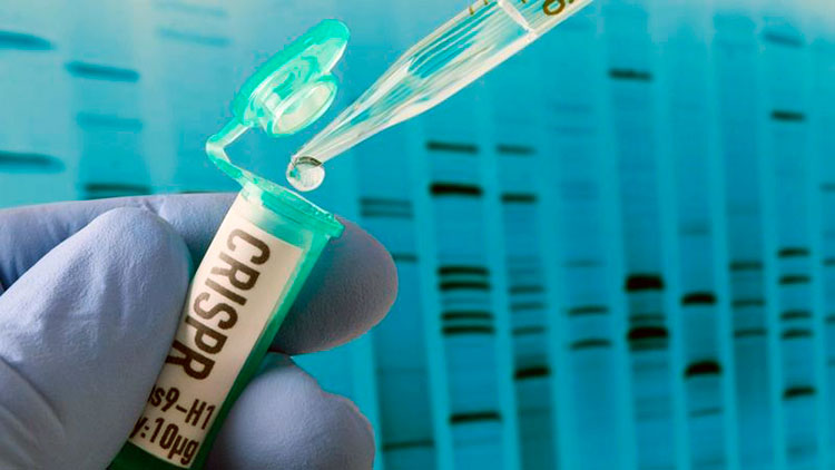 Ученые научились сохранять информацию напрямую в ДНК