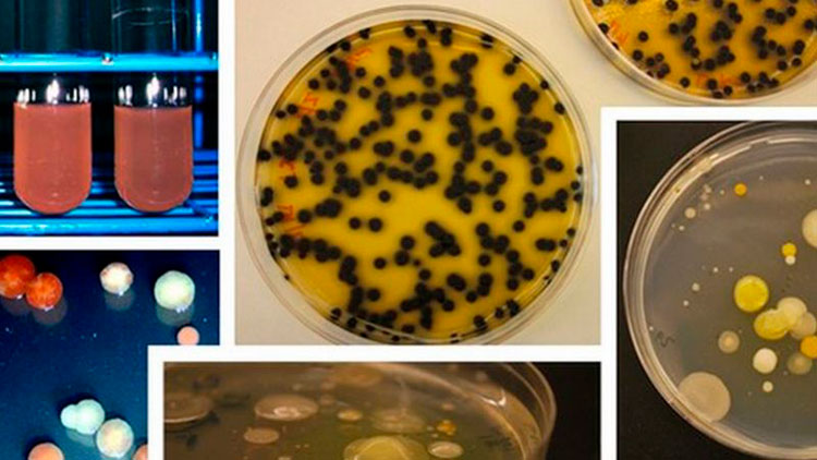 Ученые научились сохранять информацию напрямую в ДНК Ученые научились сохранять информацию напрямую в ДНК