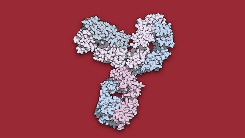 Пембролизумаб менее токсичен для пациентов, чем химиотерапия