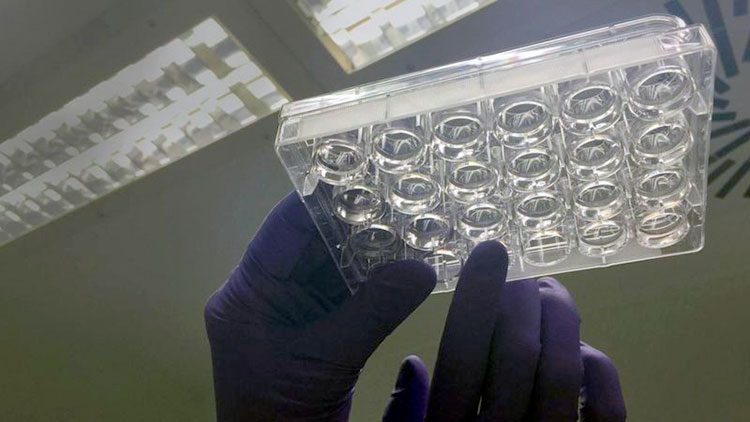 активность искусственного мозга активность искусственного мозга