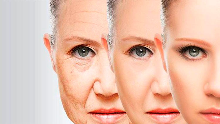 Ученые впервые омолодили людей на уровне ДНК при помощи лекарств