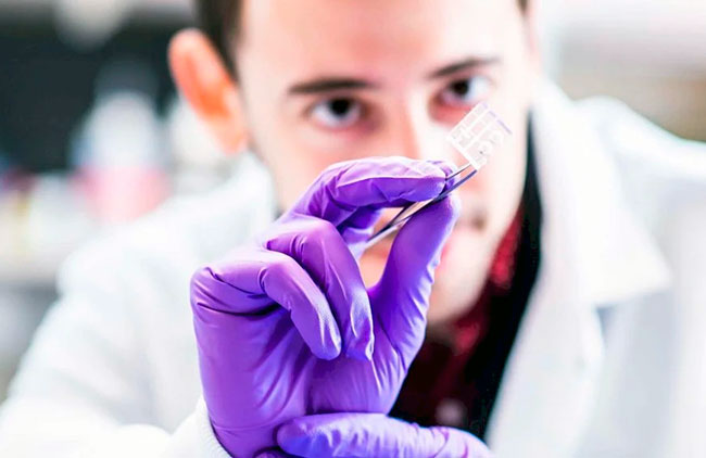 Создано миниатюрное искусственное сердце