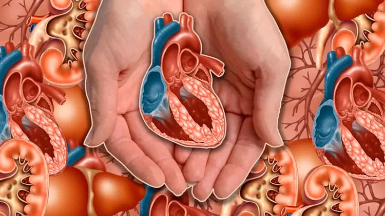 На что будут способны кардиохирурги в будущем