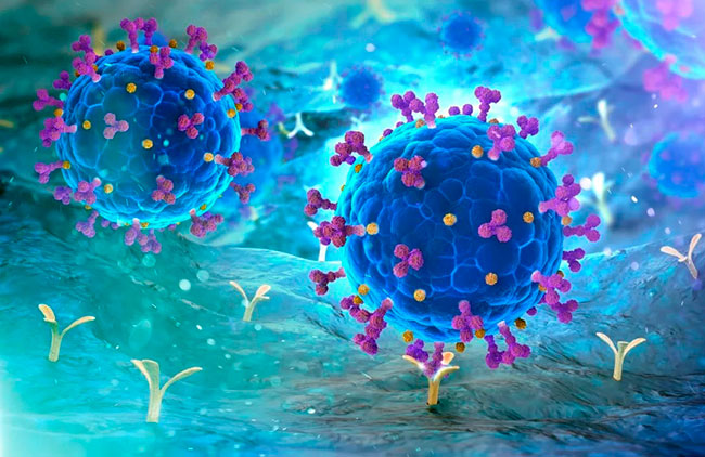 биологи впервые сняли на видео, как вирус заражает клетку 