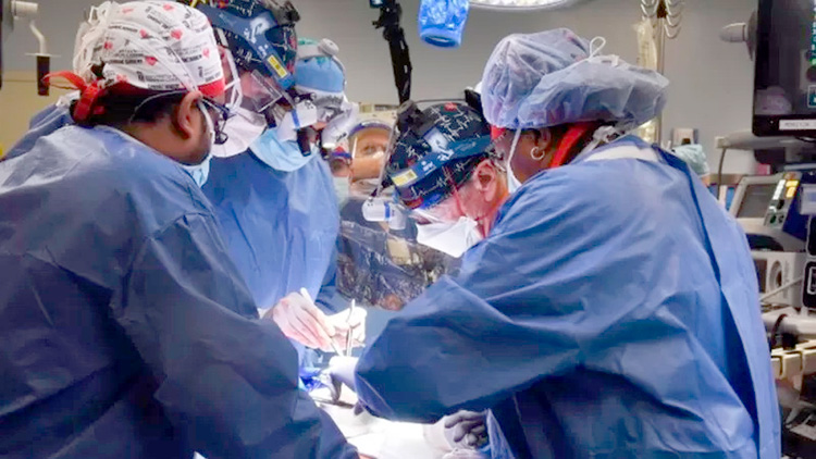 пересадка свиного сердца человеку - сделано! пересадка свиного сердца человеку - сделано!