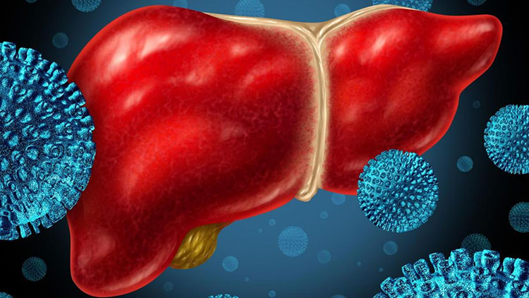 Гепатит теряет массовость, но не актуальность