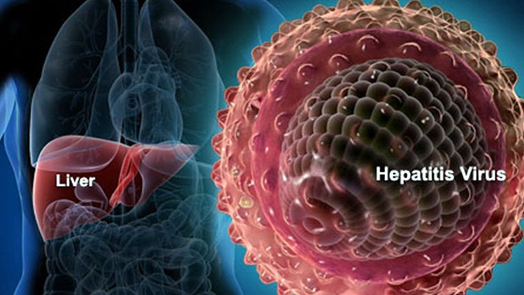 Гепатит С: симптоматика и лечение