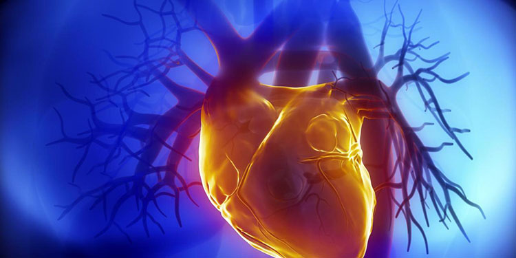 кардиохирургия будущего