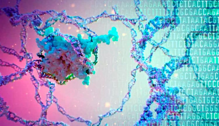 Изобретен более точный метод генного редактирования