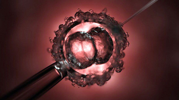Эмбрион человека избавили от дефекта при помощи коррекции ДНК