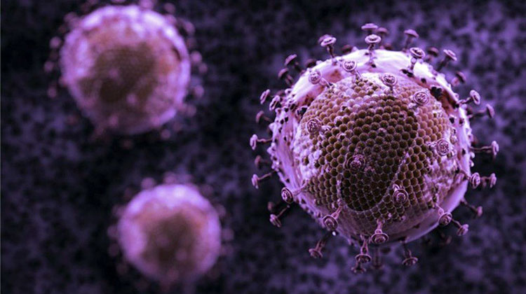 ученые разработали антитела, которые убивают до 99% штаммов ВИЧ