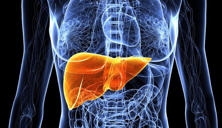 Создана вакцина против рака печени
