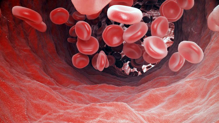 Новый препарат эффективно решает проблему недостатка кислорода в крови