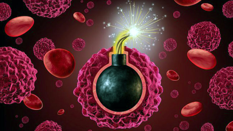 Самый смертоносный убийца рака имеется в каждой нашей клетке