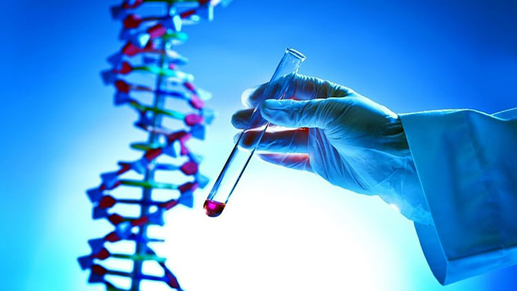 «Мусорная» ДНК оказалась эффективна в борьбе с раком