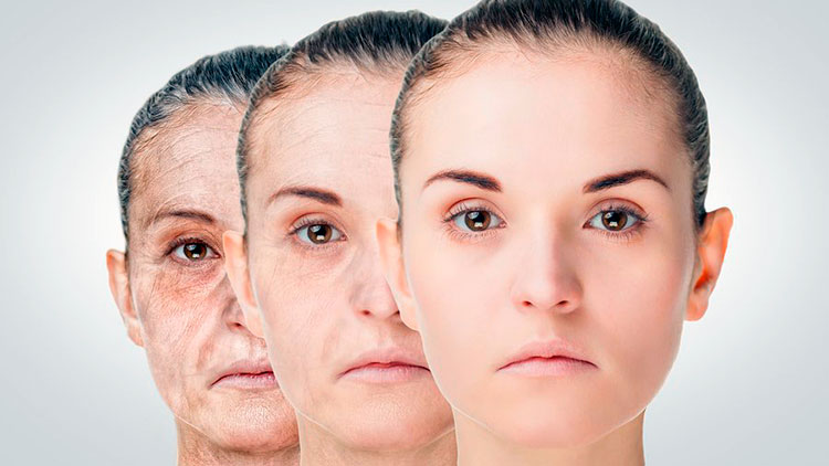 Ученые нашли способ удалить из организма стареющие клетки