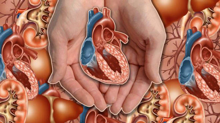 На что будут способны кардиохирурги в будущем