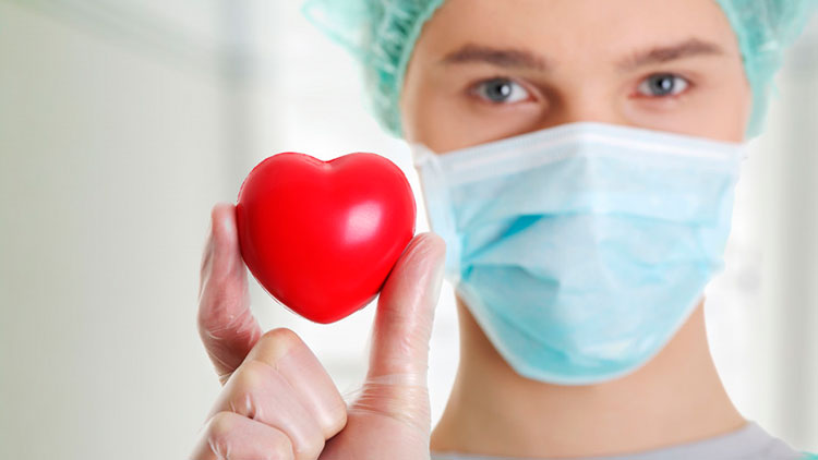 Найден способ научить сердце залечивать себя самостоятельно