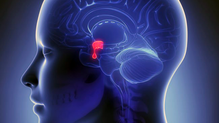 Придуман имплантат для носа возвращающий людям обоняние