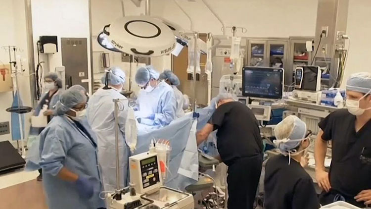 Женщина родила здорового ребенка после пересадки матки от мертвого донора