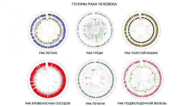 ученые научились определять точную причину опухоли по ее ДНК