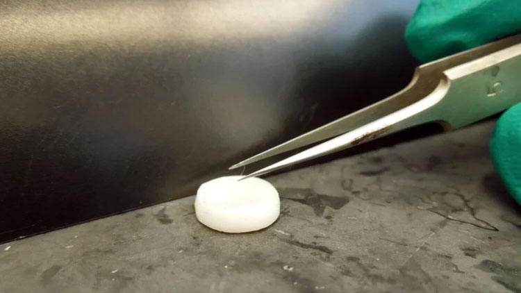 Дерматологи научились выращивать волосяные луковицы при помощи 3D-принтера