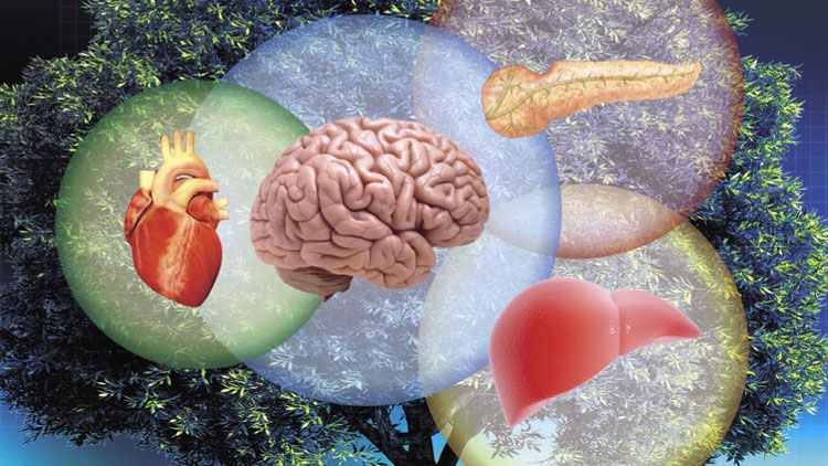 Регенеративная медицина