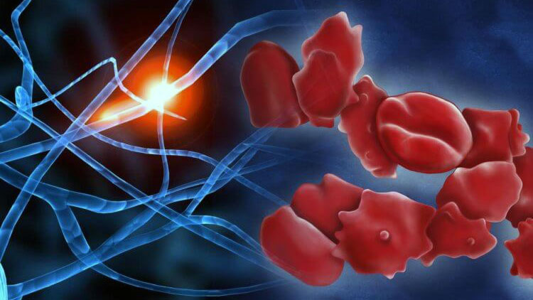 препарат для лечения Альцгеймера