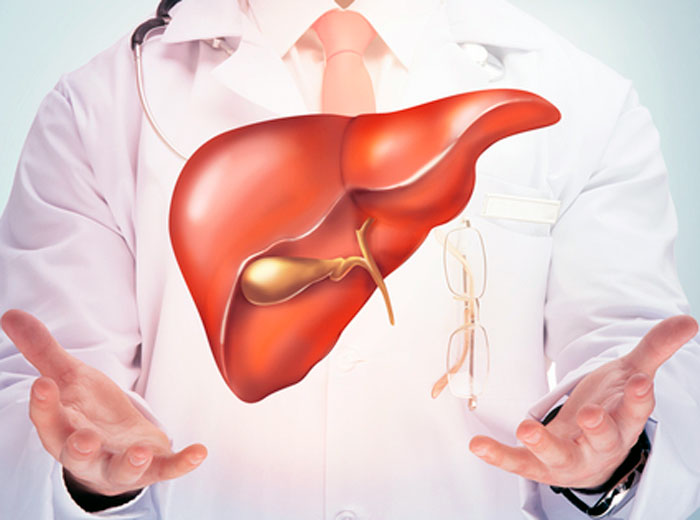 Ученые смогли превратить селезенку в печень внутри живой мыши.