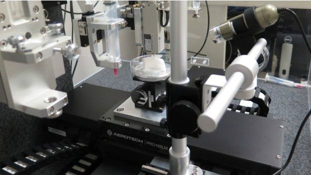 Созданные путем 3D-печати органы