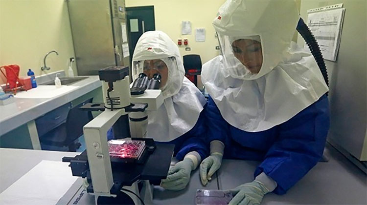 Американские ученые создали метод получения любых вакцин за неделю