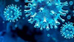Ученые нашли ахиллесову пяту коронавируса — белок, без которого он быстро погибает